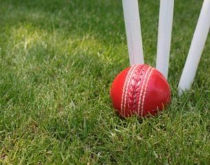 Cricket - thumbnail